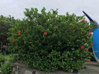 2016_0516