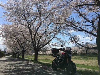 2017_0413