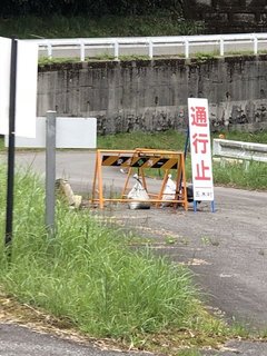2018_0520