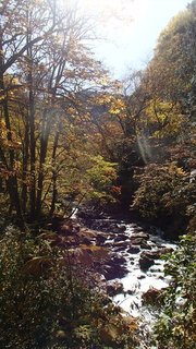 2018_1021