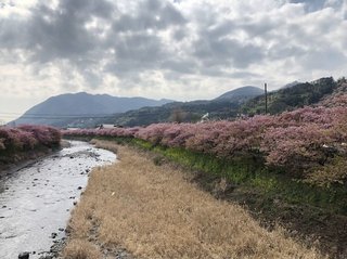 2019_0302