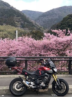 2019_0302