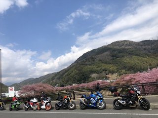 2019_0302