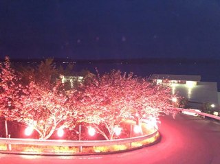 2019_0429