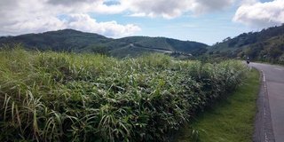 2019_0906